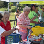 access to fresh, healthy foods